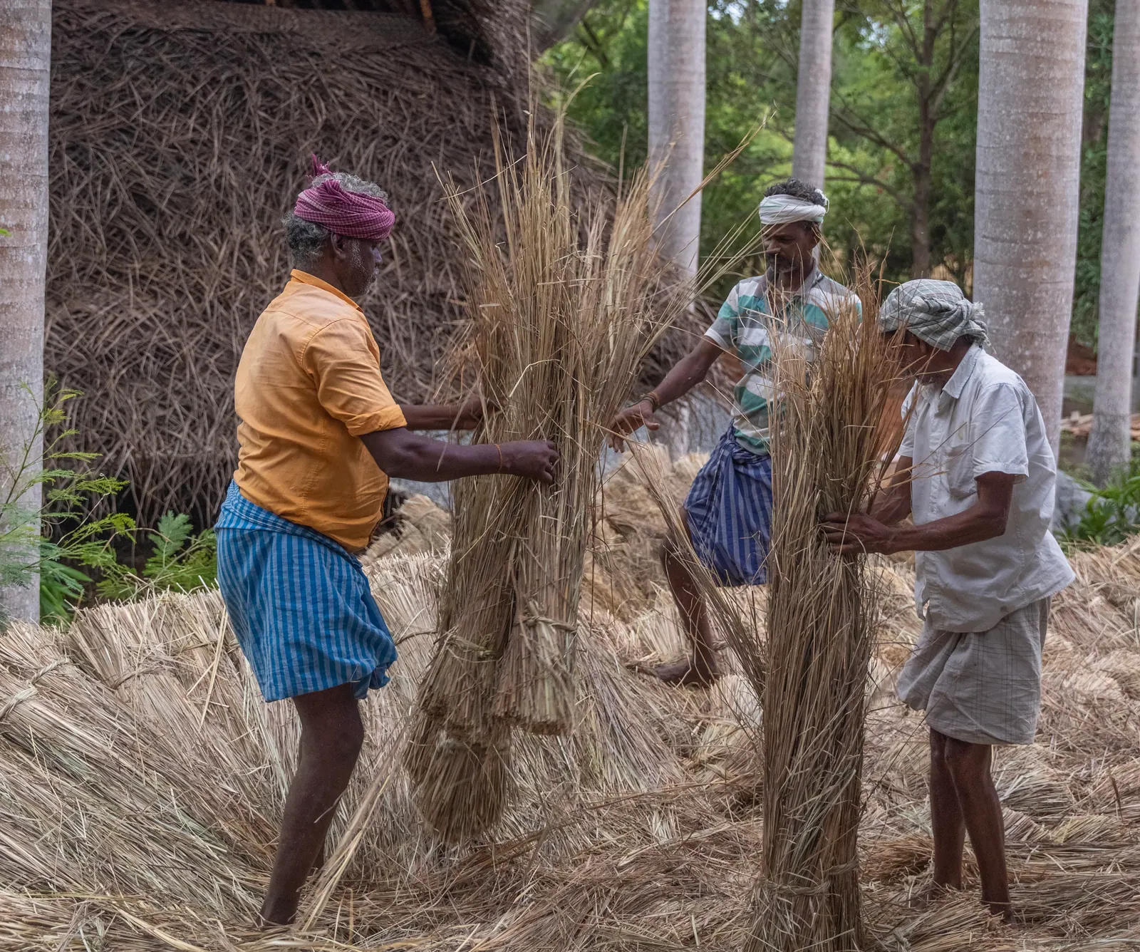 Woven coconut-leaf roof of a Keeth House